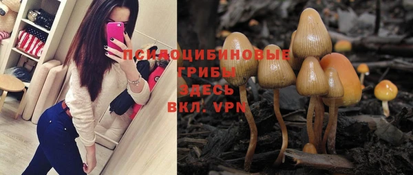 меф Пестово