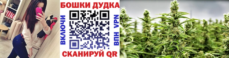 гидра онион  Ильский  МАРИХУАНА семена 